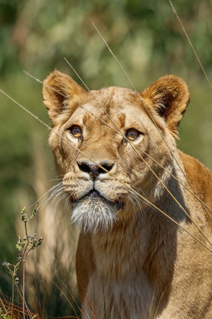 オンライン授業で集中力を高めるためのコツは？