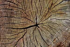 スマホの画面が割れた時に知っておくべき修理方法は？