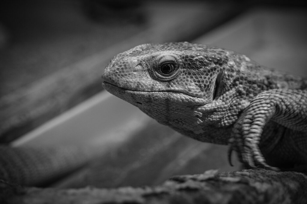 モラハラに関する離婚相談はどこで受けられる？