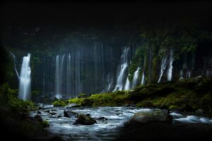 海外旅行の保険の選び方は？