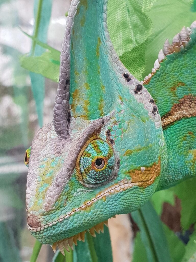 適応障害の症状を診断するために知っておくべきことは？