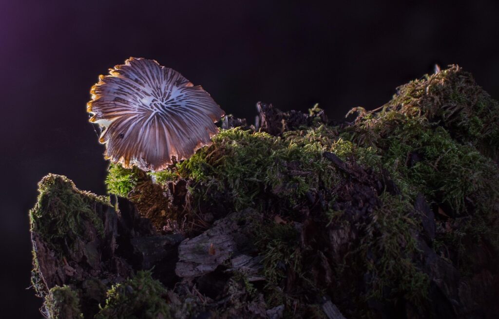 スマホの画面が割れたらどうすればいい？