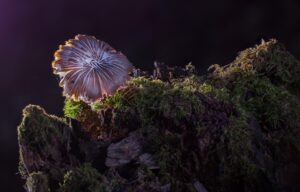 スマホの画面が割れたらどうすればいい？