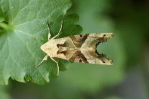 人間ドックでチェックすべきおすすめ項目は？