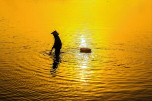 運用代行の相場はどのくらいが一般的なのか？