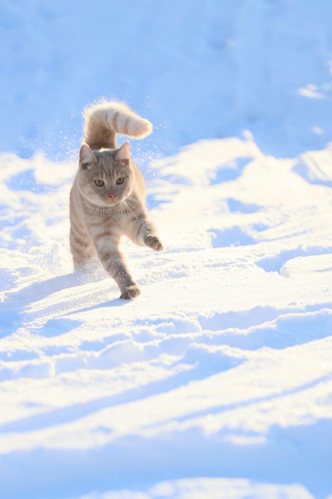 スマホ料金プランの比較で最適な選び方は？