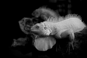 パワハラに関する相談窓口はどこにあるの？