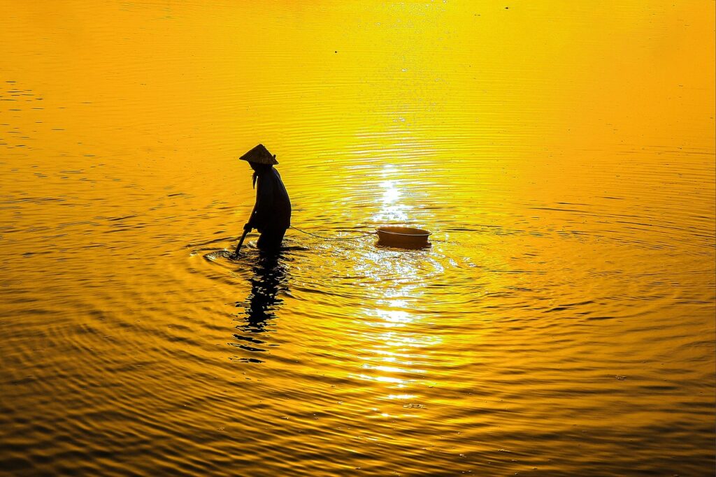引っ越しの荷造りで知っておくべきコツは？
