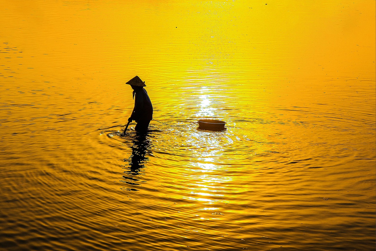 ふるさと納税で選ぶ肉のおすすめは？