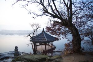 新NISAの始め方とおすすめ証券会社はどこですか？