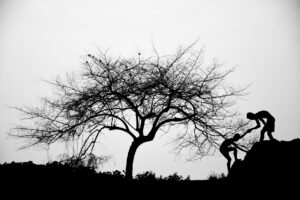 離婚後に成功した人々の体験談とは？