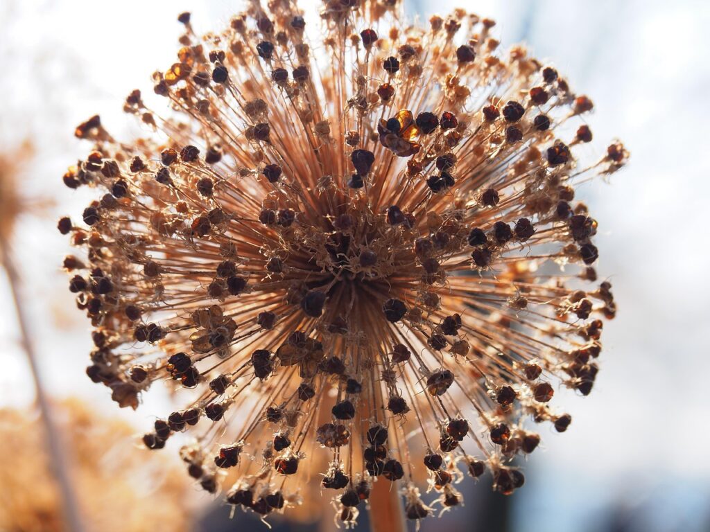 離婚手続きが終わった後に気を付けるべきことは？