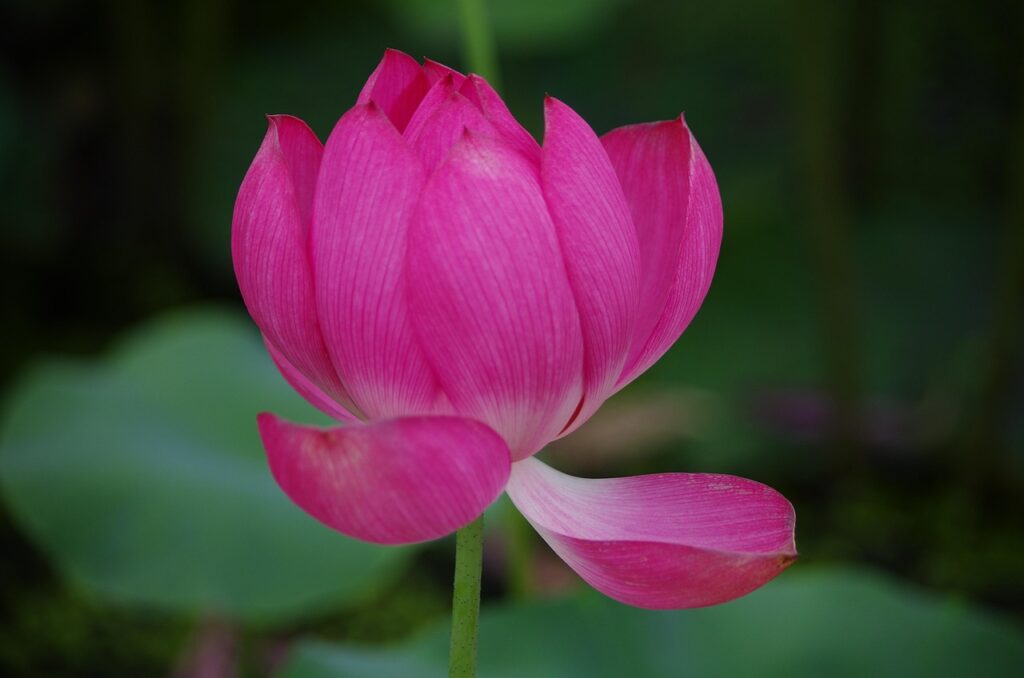 離婚後の引っ越しで気をつけるべきポイントは？