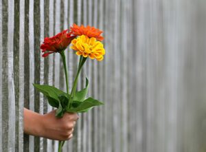 離婚後に幸せを実感するための方法は？